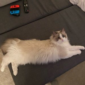 Meet your Posher, Sze kei r